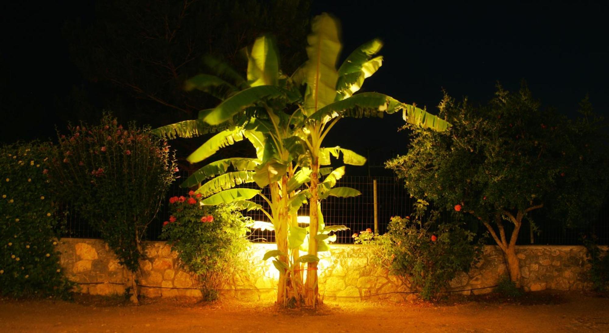 Dora'S House Villa Istrios Dış mekan fotoğraf