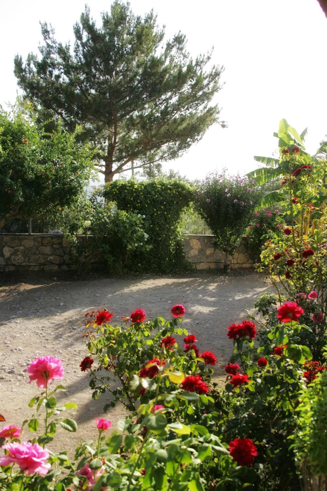 Dora'S House Villa Istrios Dış mekan fotoğraf